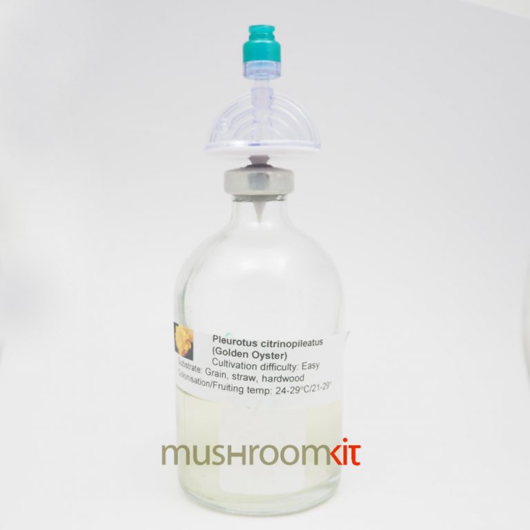 Liquid culture vial 100mL